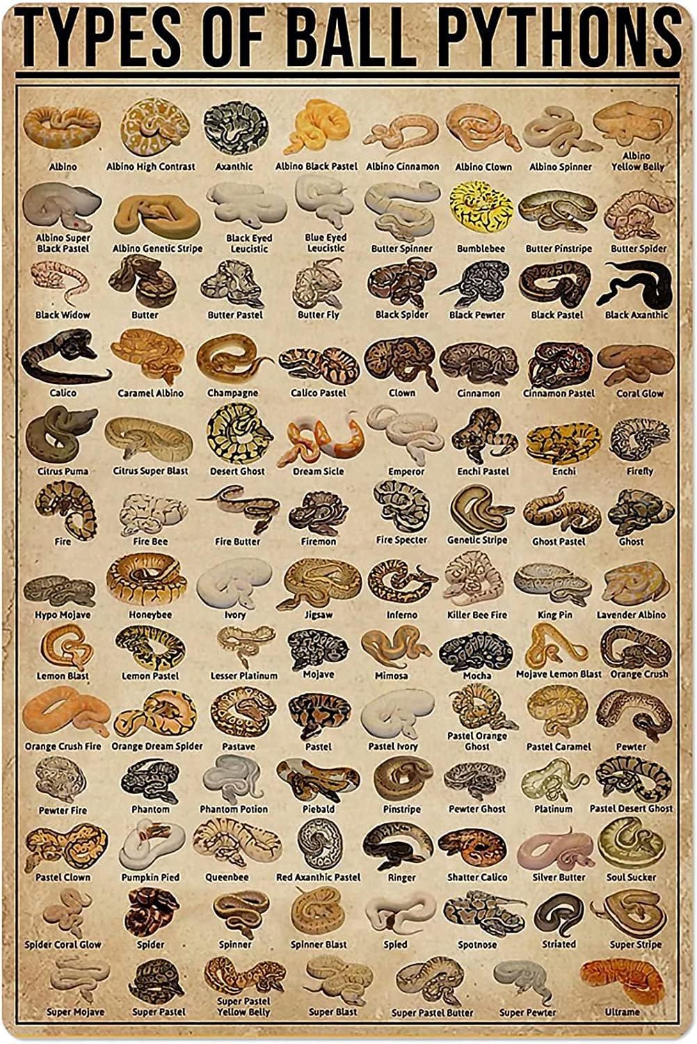 Retro Metal Tin Sign Types of  - Retro Gaming Pictures 评论和价格
